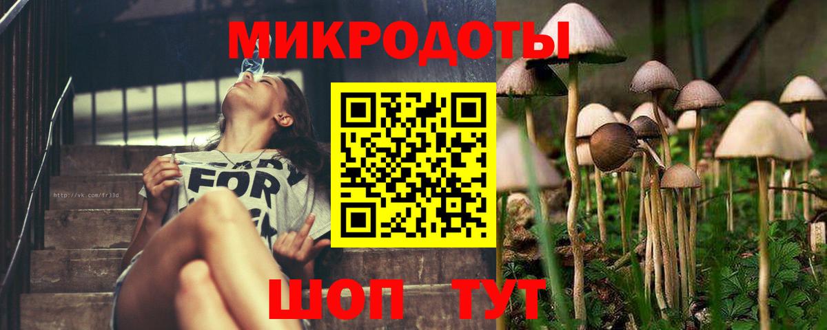 Куйбышев  Псилоцибиновые грибы Psilocybine cubensis  Вход с VPN 