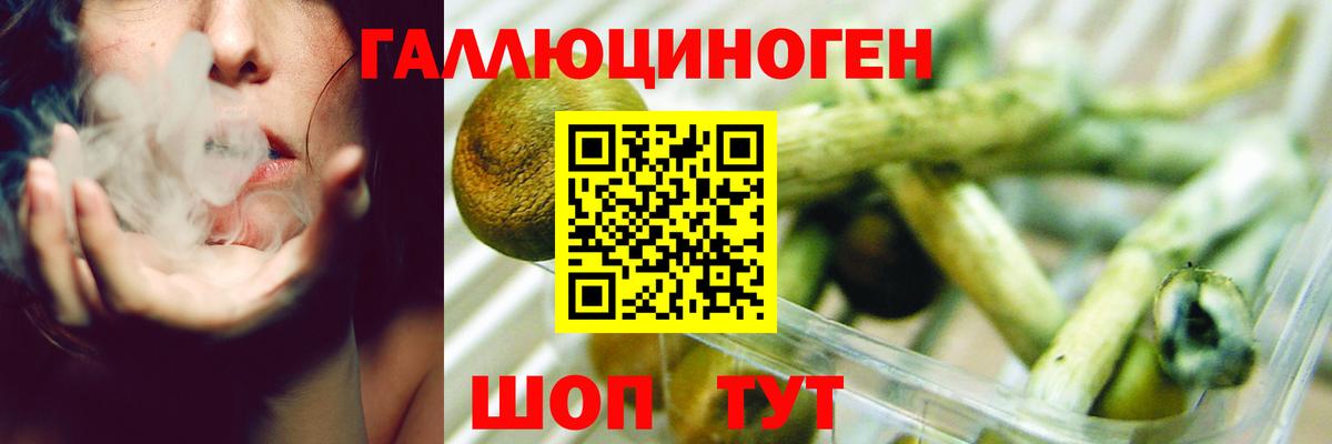 Псилоцибиновые грибы MAGIC MUSHROOMS Куйбышев