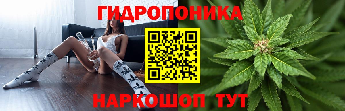 Канабис семена Куйбышев